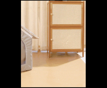 Foldable Weatherproof Outdoor Cat House & Pet Shelter