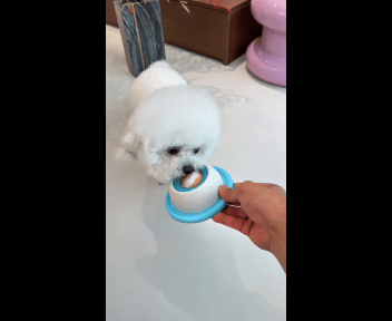 Interactive Dog & Cat Lick Sphere Slow Feeder Toy